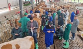 Conformation Working Group of the EVF