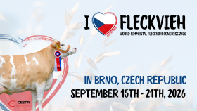 WSFF Congress in the Czech REPUBLIC