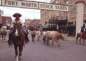 The World Simmental-Fleckvieh Federation Congress will be held in Ft. Worth, Texas, USA at the Historic Stockyards