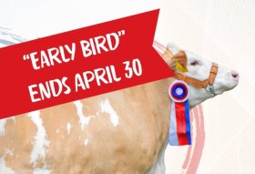 WSFF Congress – Early Bird Registration